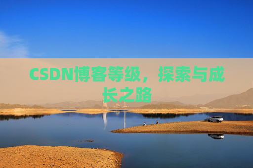 CSDN博客等级,探索与成长之路